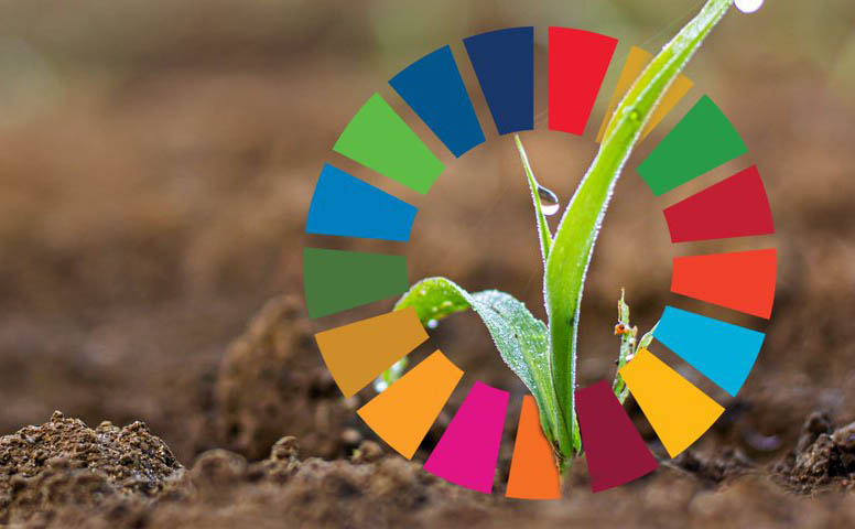 Objetivos de Desarrollo Sostenible